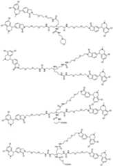 Figure PCTCN2021139314-appb-000053