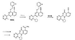 Figure 2025513455000354