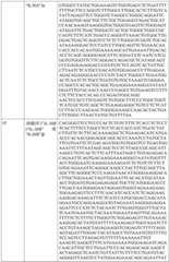 Figure BDA0002317806370000801