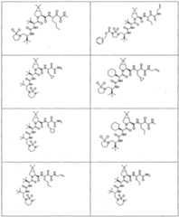 Figure imgf000258_0001