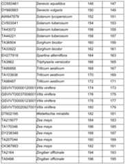 Figure imgf000104_0001