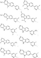 Figure FDA0003534347750000251