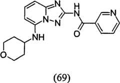 Figure GPA00001035513100933