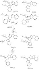 Figure FDA0003162115030000061