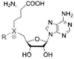 Figure imgf000145_0001