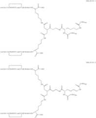 Figure US07906485-20110315-C00037