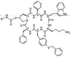 Figure imgf000026_0003
