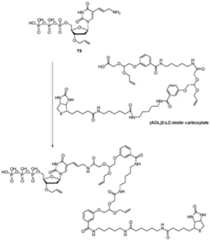 Figure imgf000071_0001