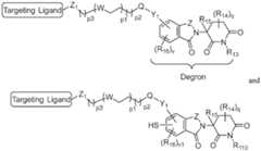 Figure imgf000199_0001