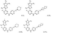 Figure 2023543433000339