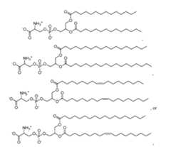 Figure imgf000162_0001