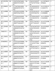 Figure imgf000042_0001