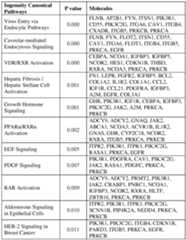 Figure imgf000046_0001