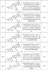 Figure GPA0000263212130001731