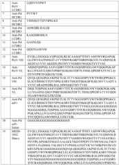 Figure imgf000024_0001