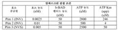 Figure pct00493