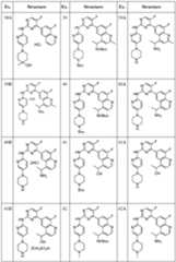 Figure imgf000031_0001