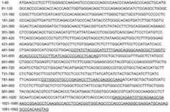 Figure DEST_PATH_IMAGE004