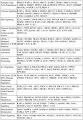 Figure imgf000456_0001