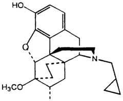 Figure imgf000007_0001