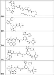 Figure BDA0002268634580002891