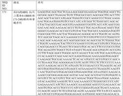 Figure BDA0001868160740001491