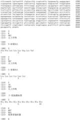 Figure IDA0002536600790000061