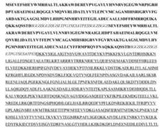 Figure imgf000185_0002