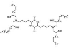 Figure 2022542562000017