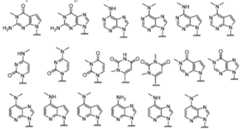 Figure imgf000063_0002