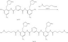 Figure US08278309-20121002-C00039