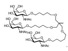 Figure imgf000144_0001