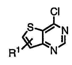 Figure 112007011503269-PCT00247
