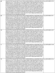 Figure BDA0004183790070000731