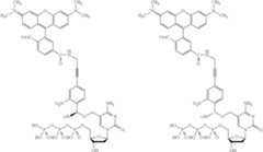 Figure US08497360-20130730-C00026