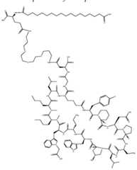 Figure imgf000456_0001