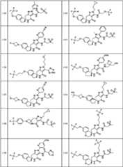Figure JPOXMLDOC01-appb-T000113