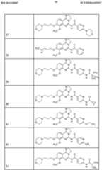 Figure imgf000099_0001