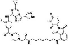 Figure BDA0002964098100001311