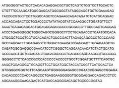 Figure 133293DEST_PATH_IMAGE096