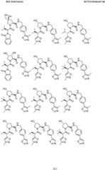 Figure imgf000222_0001