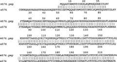 Figure A9981410800632