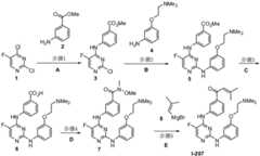 Figure BDA0001453135130002671