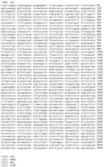 Figure IDA00002091897101371