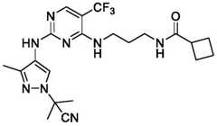 Figure BDA0003508720790001572