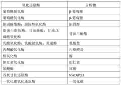 Figure BDA0000448173530000023