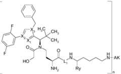 Figure imgf000123_0001