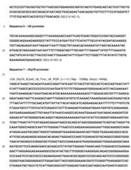 Figure imgf000091_0001