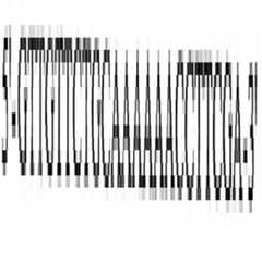 Figure 112016075275816-pat00023