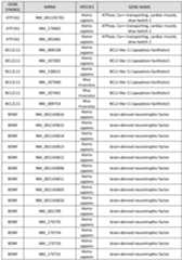 Figure imgf000067_0001